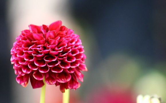 英国美术学院有哪些，英国美术学院要学费吗
